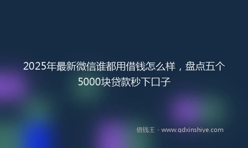 2025年最新微信谁都用借钱怎么样，盘点五个5000块贷款秒下口子