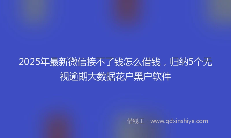 2025年最新微信接不了钱怎么借钱，归纳5个无视逾期大数据花户黑户软件