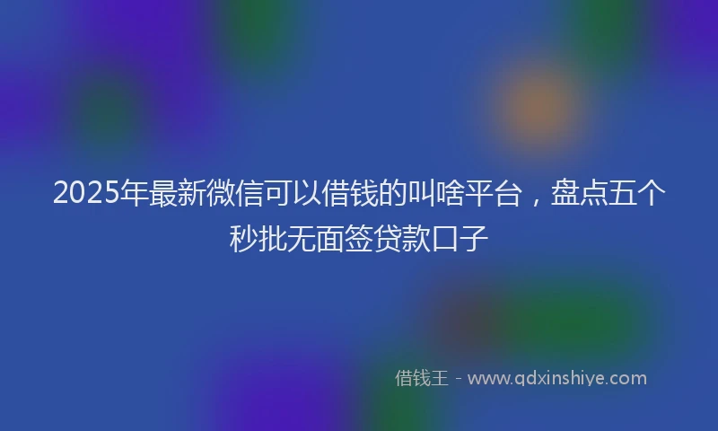 2025年最新微信可以借钱的叫啥平台，盘点五个秒批无面签贷款口子