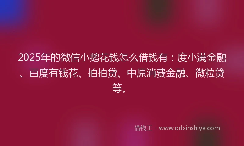 2025年的微信小鹅花钱怎么借钱有：度小满金融、百度有钱花、拍拍贷、中原消费金融、微粒贷等。