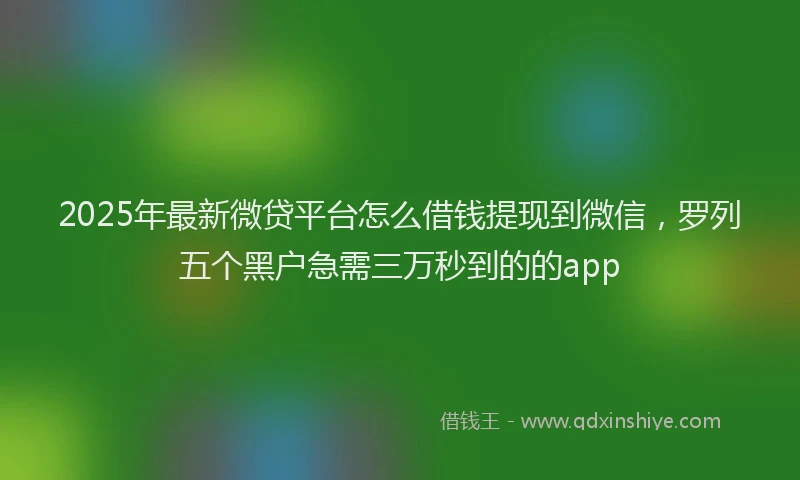 2025年最新微贷平台怎么借钱提现到微信，罗列五个黑户急需三万秒到的的app