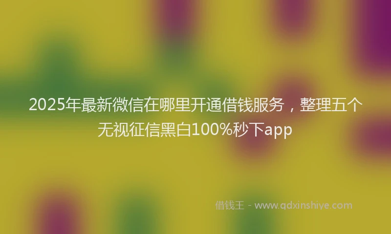 2025年最新微信在哪里开通借钱服务，整理五个无视征信黑白100%秒下app