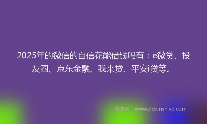 2025年的微信的自信花能借钱吗有：e微贷、投友圈、京东金融、我来贷、平安i贷等。