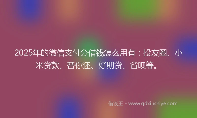 2025年的微信支付分借钱怎么用有：投友圈、小米贷款、替你还、好期贷、省呗等。