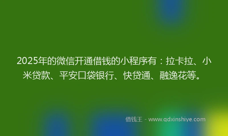 2025年的微信开通借钱的小程序有：拉卡拉、小米贷款、平安口袋银行、快贷通、融逸花等。