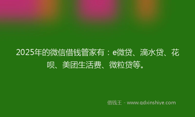 2025年的微信借钱管家有：e微贷、滴水贷、花呗、美团生活费、微粒贷等。