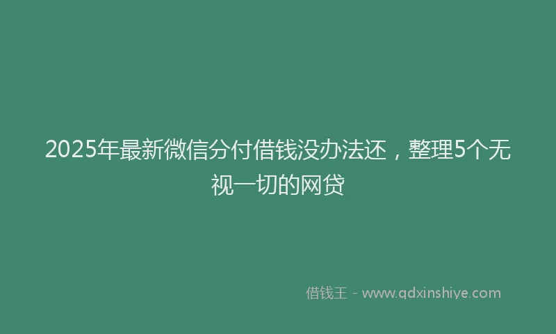 2025年最新微信分付借钱没办法还，整理5个无视一切的网贷
