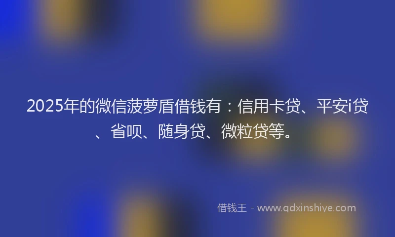 2025年的微信菠萝盾借钱有：信用卡贷、平安i贷、省呗、随身贷、微粒贷等。