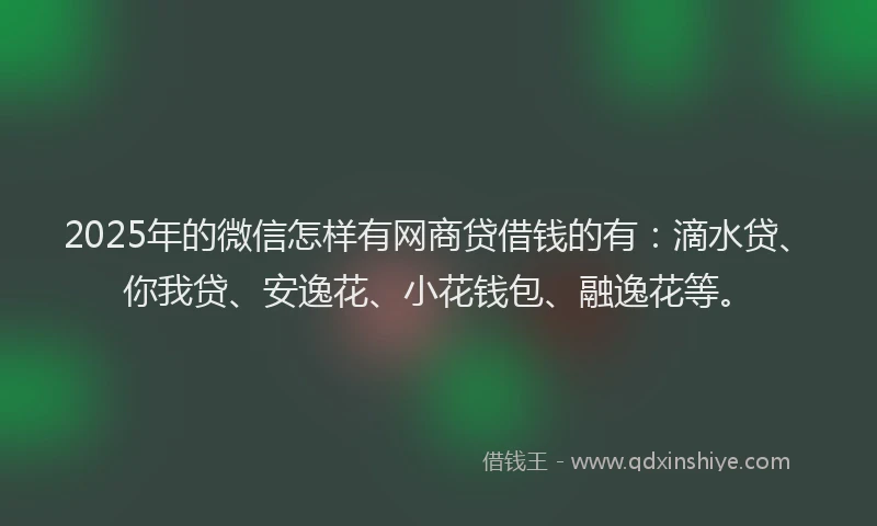 2025年的微信怎样有网商贷借钱的有：滴水贷、你我贷、安逸花、小花钱包、融逸花等。