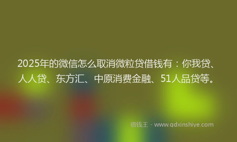 2025年的微信怎么取消微粒贷借钱有：你我贷、人人贷、东方汇、中原消费金融、51人品贷等。