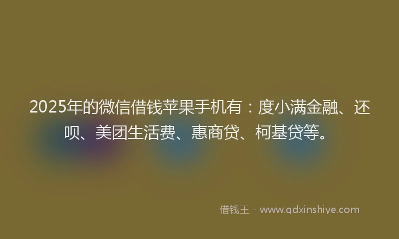2025年的微信借钱苹果手机有：度小满金融、还呗、美团生活费、惠商贷、柯基贷等。
