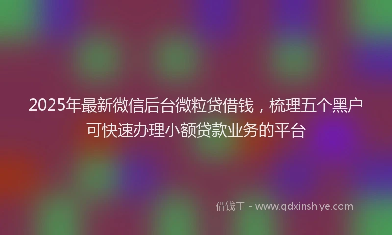 2025年最新微信后台微粒贷借钱，梳理五个黑户可快速办理小额贷款业务的平台