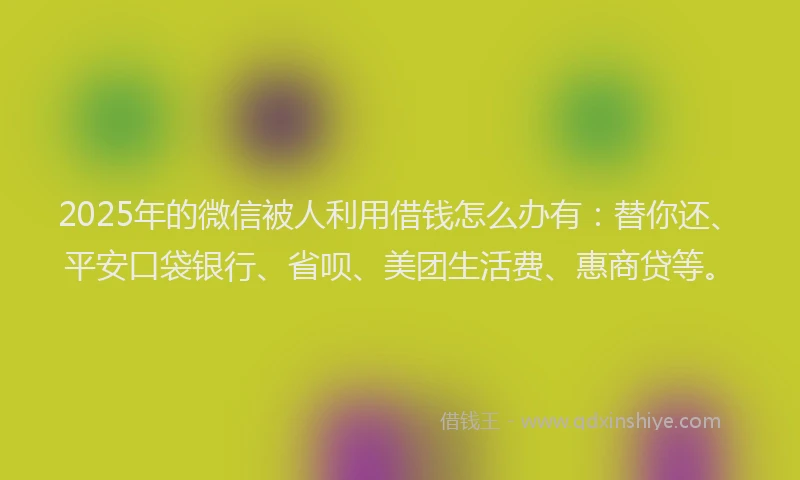 2025年的微信被人利用借钱怎么办有：替你还、平安口袋银行、省呗、美团生活费、惠商贷等。