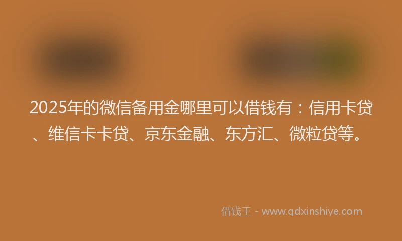 2025年的微信备用金哪里可以借钱有：信用卡贷、维信卡卡贷、京东金融、东方汇、微粒贷等。