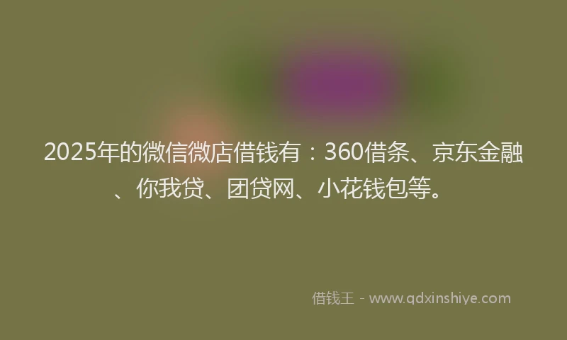 2025年的微信微店借钱有：360借条、京东金融、你我贷、团贷网、小花钱包等。