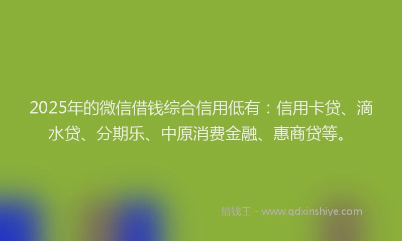 2025年的微信借钱综合信用低有：信用卡贷、滴水贷、分期乐、中原消费金融、惠商贷等。