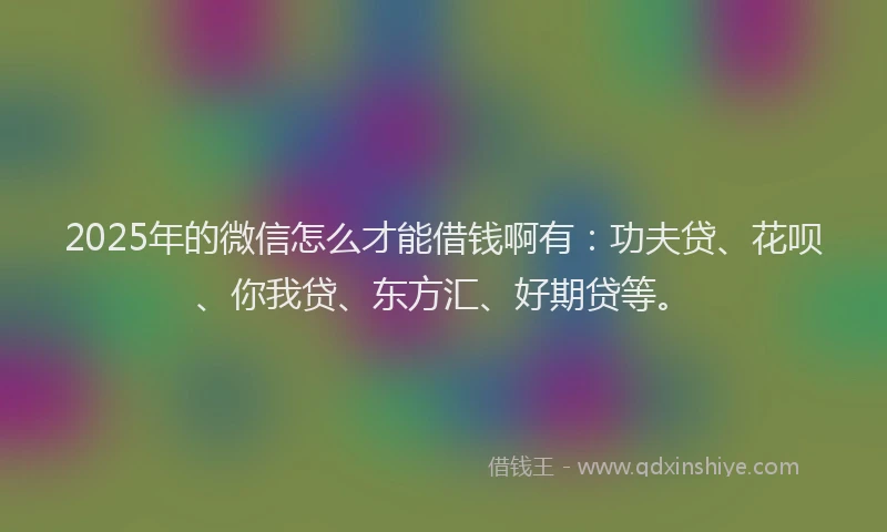 2025年的微信怎么才能借钱啊有：功夫贷、花呗、你我贷、东方汇、好期贷等。