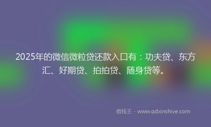 2025年的微信微粒贷还款入口有：功夫贷、东方汇、好期贷、拍拍贷、随身贷等。