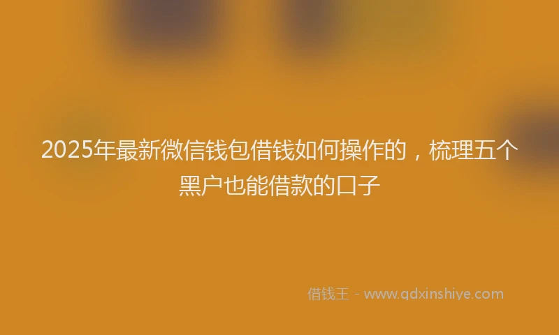 2025年最新微信钱包借钱如何操作的，梳理五个黑户也能借款的口子