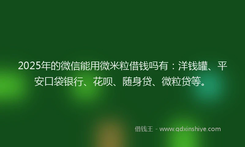 2025年的微信能用微米粒借钱吗有：洋钱罐、平安口袋银行、花呗、随身贷、微粒贷等。