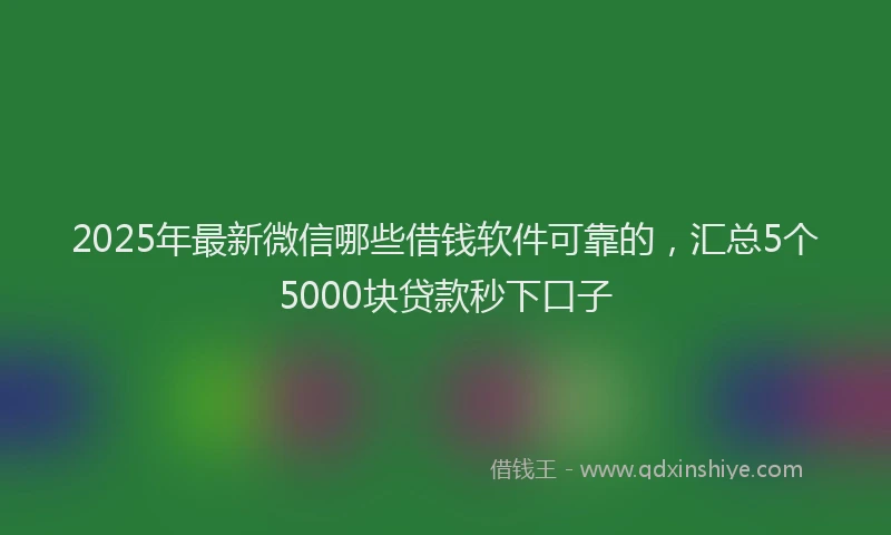 2025年最新微信哪些借钱软件可靠的，汇总5个5000块贷款秒下口子