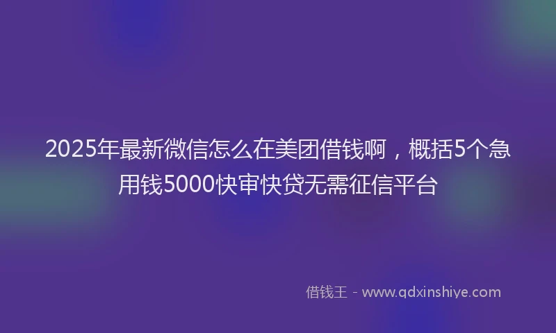 2025年最新微信怎么在美团借钱啊，概括5个急用钱5000快审快贷无需征信平台