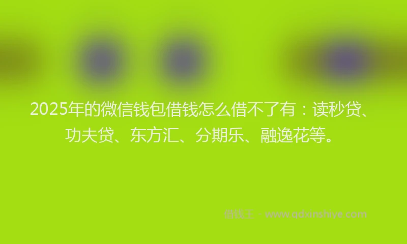 2025年的微信钱包借钱怎么借不了有：读秒贷、功夫贷、东方汇、分期乐、融逸花等。