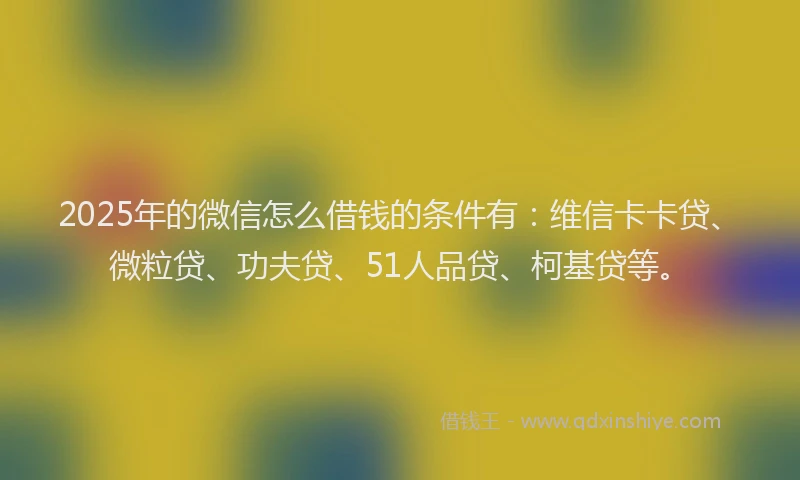 2025年的微信怎么借钱的条件有：维信卡卡贷、微粒贷、功夫贷、51人品贷、柯基贷等。