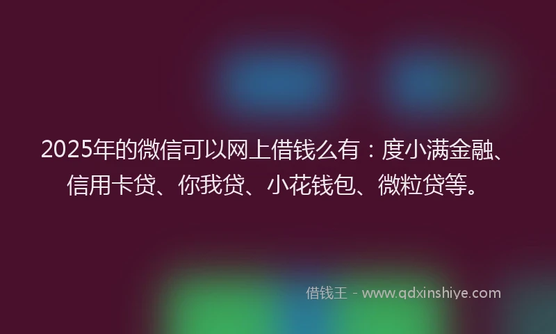 2025年的微信可以网上借钱么有：度小满金融、信用卡贷、你我贷、小花钱包、微粒贷等。