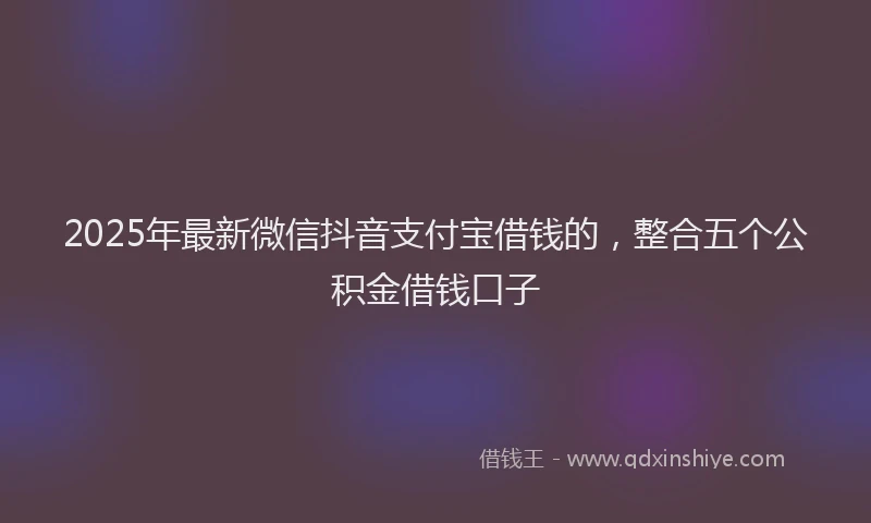 2025年最新微信抖音支付宝借钱的，整合五个公积金借钱口子