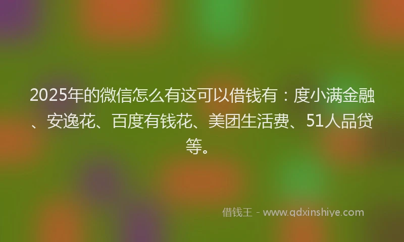 2025年的微信怎么有这可以借钱有：度小满金融、安逸花、百度有钱花、美团生活费、51人品贷等。