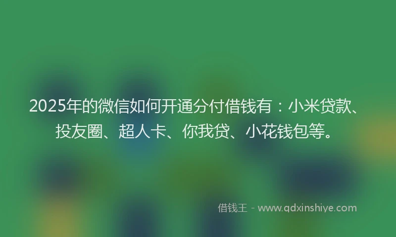 2025年的微信如何开通分付借钱有：小米贷款、投友圈、超人卡、你我贷、小花钱包等。