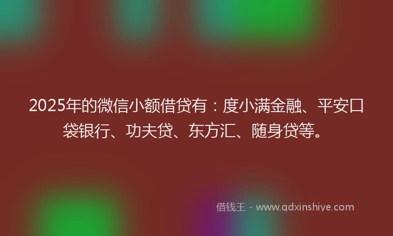 2025年的微信小额借贷有：度小满金融、平安口袋银行、功夫贷、东方汇、随身贷等。