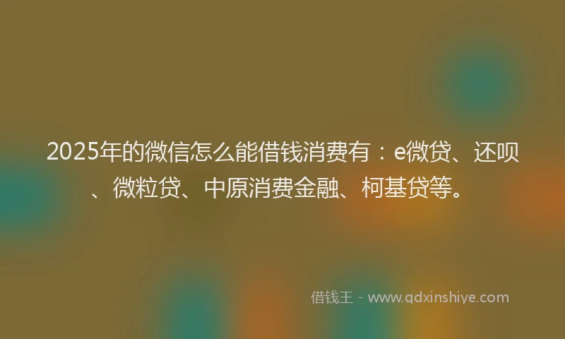 2025年的微信怎么能借钱消费有：e微贷、还呗、微粒贷、中原消费金融、柯基贷等。
