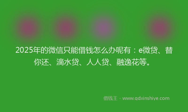 2025年的微信只能借钱怎么办呢有：e微贷、替你还、滴水贷、人人贷、融逸花等。
