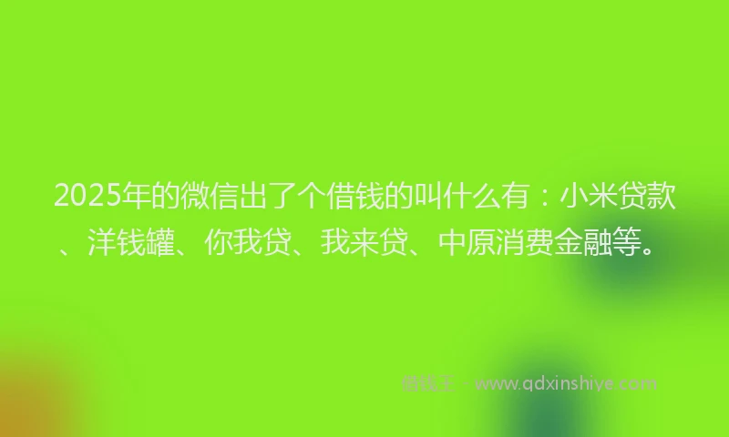 2025年的微信出了个借钱的叫什么有：小米贷款、洋钱罐、你我贷、我来贷、中原消费金融等。