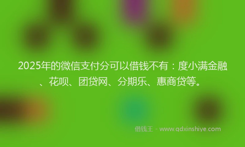 2025年的微信支付分可以借钱不有：度小满金融、花呗、团贷网、分期乐、惠商贷等。