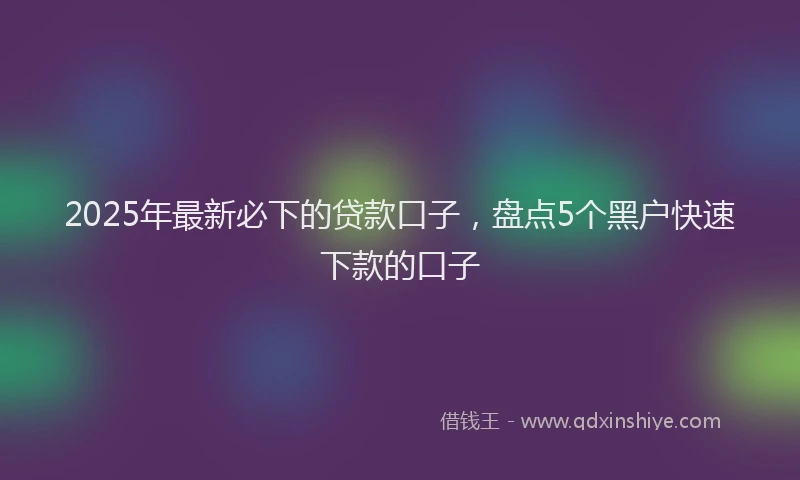 2025年最新必下的贷款口子，盘点5个黑户快速下款的口子