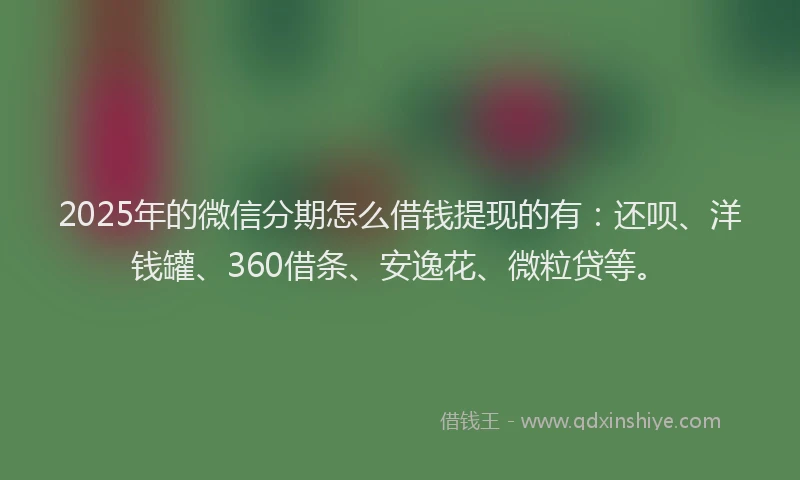 2025年的微信分期怎么借钱提现的有：还呗、洋钱罐、360借条、安逸花、微粒贷等。