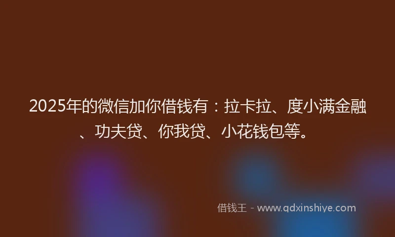 2025年的微信加你借钱有：拉卡拉、度小满金融、功夫贷、你我贷、小花钱包等。