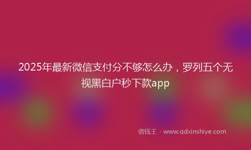 2025年最新微信支付分不够怎么办，罗列五个无视黑白户秒下款app