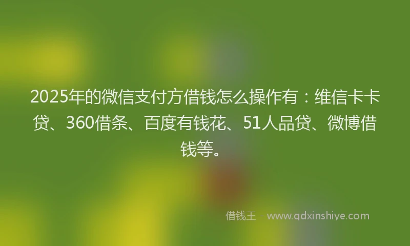 2025年的微信支付方借钱怎么操作有：维信卡卡贷、360借条、百度有钱花、51人品贷、微博借钱等。