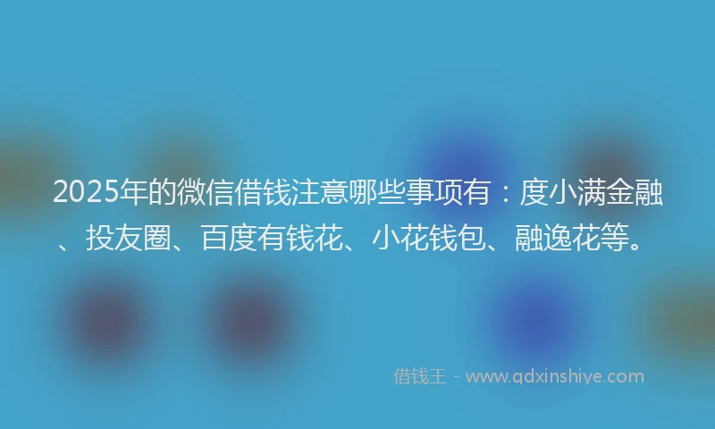 2025年的微信借钱注意哪些事项有：度小满金融、投友圈、百度有钱花、小花钱包、融逸花等。