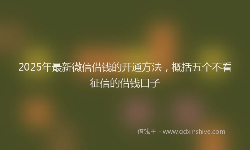 2025年最新微信借钱的开通方法，概括五个不看征信的借钱口子