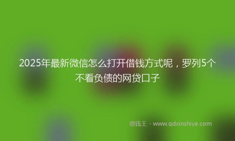 2025年最新微信怎么打开借钱方式呢，罗列5个不看负债的网贷口子