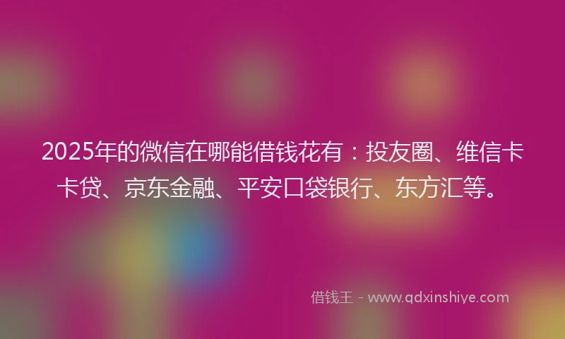 2025年的微信在哪能借钱花有：投友圈、维信卡卡贷、京东金融、平安口袋银行、东方汇等。