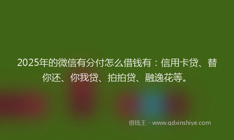 2025年的微信有分付怎么借钱有：信用卡贷、替你还、你我贷、拍拍贷、融逸花等。