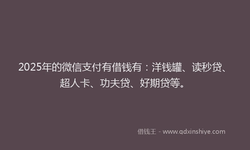 2025年的微信支付有借钱有：洋钱罐、读秒贷、超人卡、功夫贷、好期贷等。