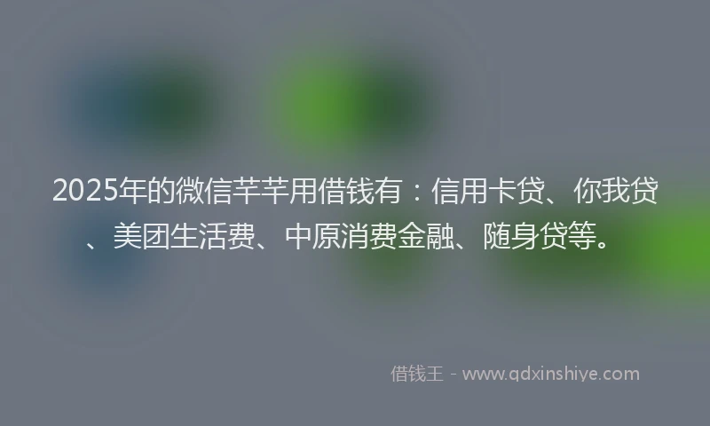 2025年的微信芊芊用借钱有：信用卡贷、你我贷、美团生活费、中原消费金融、随身贷等。