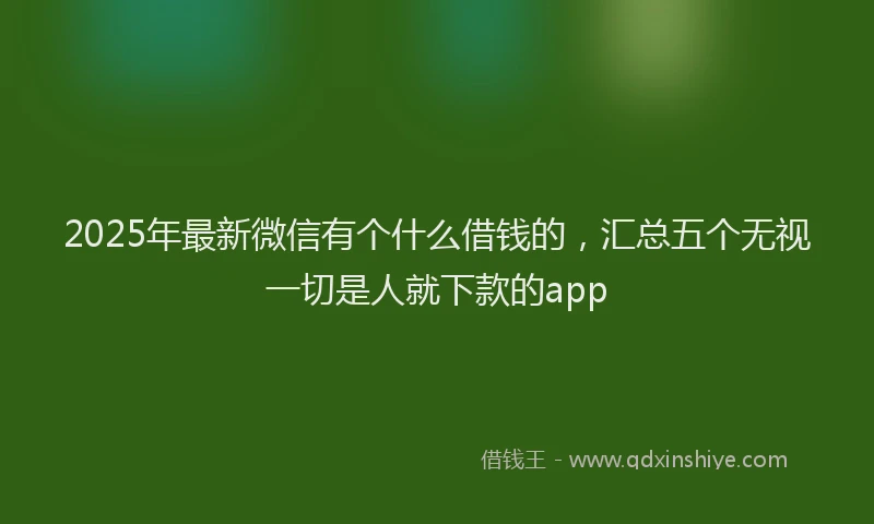 2025年最新微信有个什么借钱的，汇总五个无视一切是人就下款的app